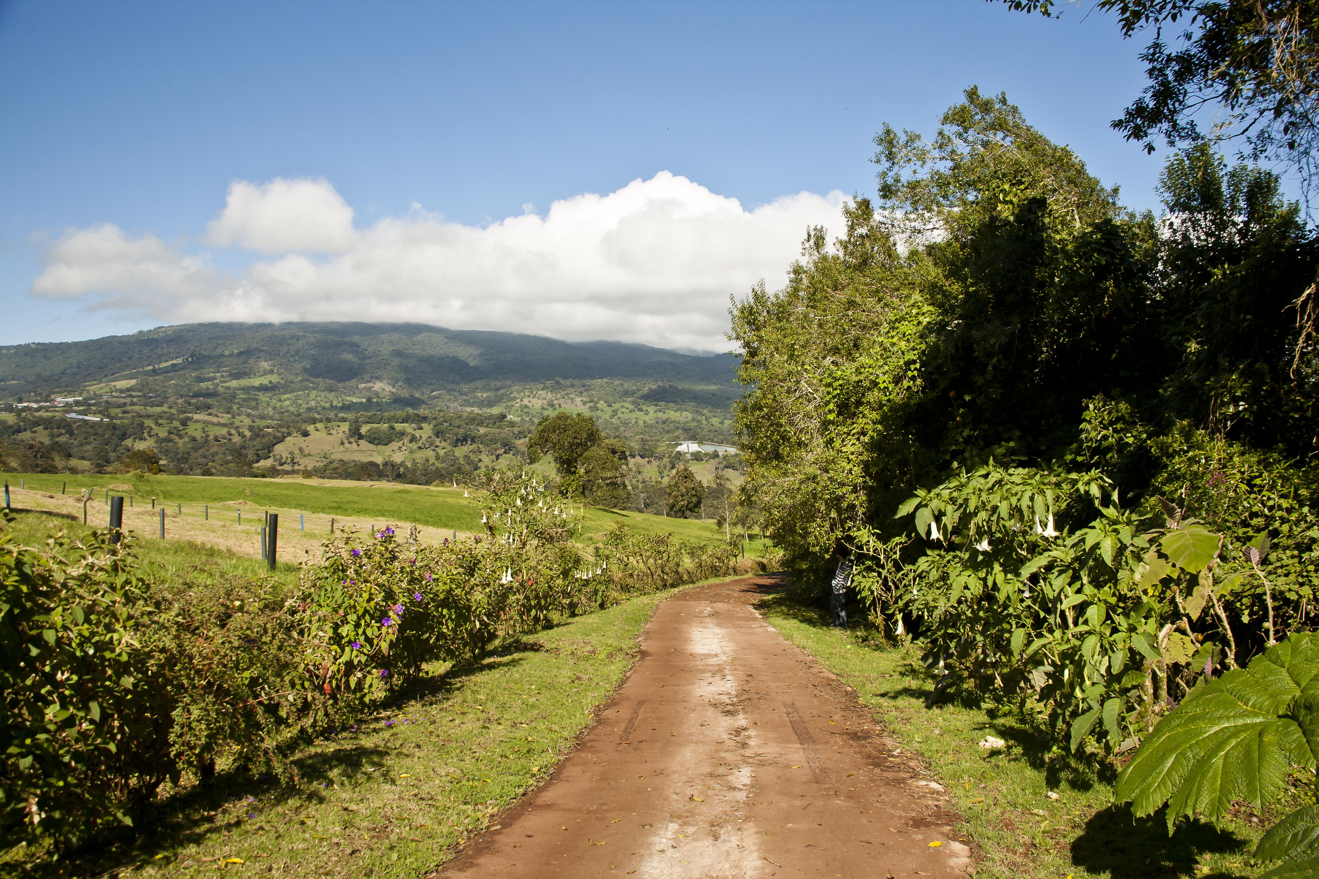 Poas Volcano